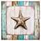 Starfish on Beach by Elizabeth Tyndall Wood Wall Art 12" x 12"